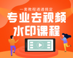 专业去视频水印教程 静态水印、动态水印、文字水印、图片水印一套教程通通搞定-第一资源网