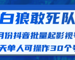 白狼敢死队最新抖音短视频批量起影视号（一天单人可操作30个号）视频课程-第一资源网