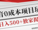 短视频变现套路剖析，抖音0成本赚钱项目玩法，日入500+独家揭秘（共2节视频）-第一资源网
