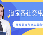 某站内部课程:淘宝客社交电商裂变,精准引流和粉丝裂变模式详解(共6节视频)-第一资源网