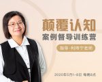 颠覆认知,案例督导训练营:打破旧模式 引领新思维-第一资源网