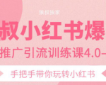 狼叔小红书爆款推广引流训练课4.0,手把手带你玩转小红书-第一资源网