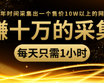 年赚十万的采集站，每天却只需要1小时，一年时间采集出一个售价10W以上的网站-第一资源网