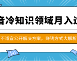 抖音冷知识领域月入过万项目,不适宜公开解决方案 ,抖音赚钱方式大解析!-第一资源网