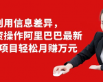 利用信息差异,零投资操作阿里巴巴最新管道项目轻松月赚10000+-第一资源网