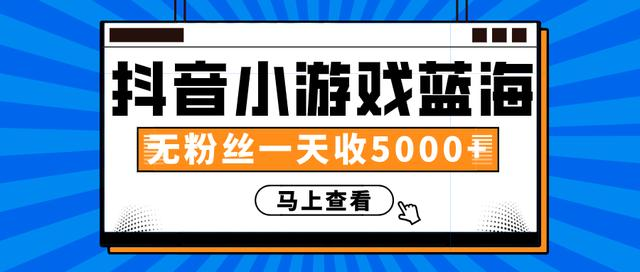 赚钱计划：抖音小游戏蓝海项目，无粉丝一天收入5000+-第一资源网