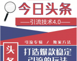今日头条引流技术4.0,微头条实战细节,微头条引流核心技巧分析,快速发布引流玩法-第一资源网