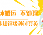 抖音纯搬运 不处理 小技巧,30秒发一个作品,避免违规评级秒过豆荚-第一资源网