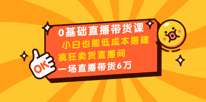 0基础直播带货课：小白也能低成本搭建疯狂卖货直播间：1场直播带货6万-第一资源网