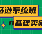 亚马逊系统班,专为0基础卖家量身打造,亚马逊运营流程与架构-第一资源网
