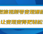 微信视频号变现项目,0粉丝冷启动项目和十三种变现方式-第一资源网