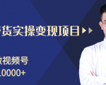柚子分享课:微信视频号变现攻略,新手零基础轻松日赚千元-第一资源网