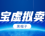 黑帽子淘宝虚拟卖货项目,单店每月收入5000+-第一资源网
