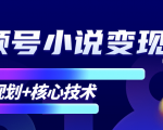柚子微信视频号小说变现项目，全新玩法零基础也能月入10000+【核心技术】-第一资源网