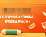 黄岛主引流课:百家号视频精准引流玩法,日涨精准粉200+-第一资源网