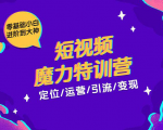 零基础小白进阶到大神《短视频魔力特训营》定位-运营-引流-变现-第一资源网