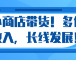 微信小商店带货，爆单多倍收入，长期复利循环！日赚300-800元不等-第一资源网