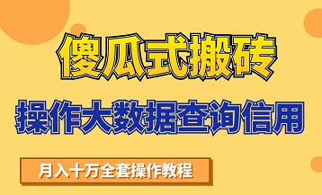 搬砖操作大数据查询信用项目赚钱教程，祝你快速月入6万-第一资源网