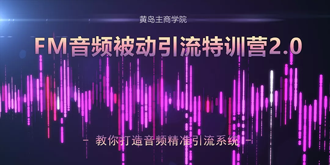 黄岛主·FM音频引流特训营2.0：独家引流模式，单账号50W+播放量，轻松变现-第一资源网