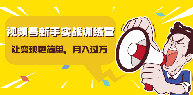 视频号新手实战训练营，让变现更简单，玩赚视频号，轻松月入过万-第一资源网