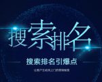 搜索排名引爆点:教你快速掌握各个搜索引擎排名算法,让客户主动找上你的秘笈-第一资源网