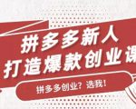 拼多多新人打造爆款创业课:快速引流持续出单,适用于所有新人-第一资源网