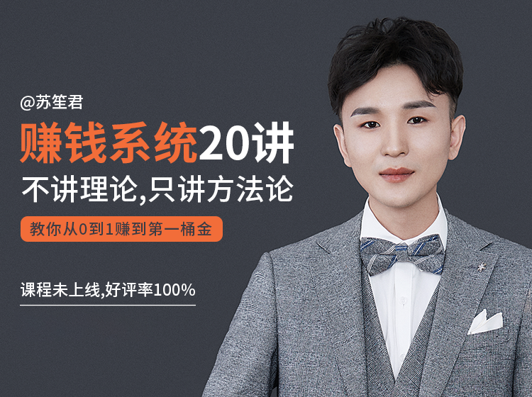苏笙君的赚钱系统20课 教你从0到1赚到你的第一桶金（不讲理论，只讲方法论）-第一资源网