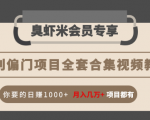 暴利偏门项目全套合集视频教程：你要的日赚1000+月入几万+项目都有-第一资源网