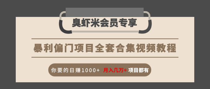 暴利偏门项目全套合集视频教程：你要的日赚1000+月入几万+项目都有-第一资源网