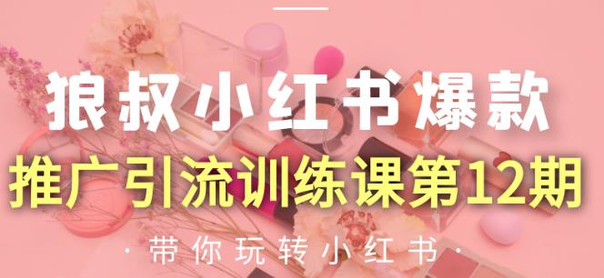 狼叔小红书爆款推广引流训练课第12期，手把手带你玩转小红书-第一资源网