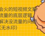 只说话就会火的短视频文案课,从根本上解决没流量的问题-第一资源网