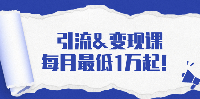 引流&变现课：分享一整套流量方法以及各个渠道收入，每月最低1万起！-第一资源网