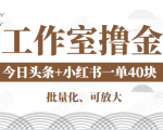 工作室撸金二件套:撸今日头条原创收益+小红书一单利润40块项目-第一资源网