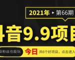 抖音9.9课程项目,没粉丝也能卖课,一天300+粉易变现-第一资源网