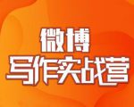 村西边老王·微博超级写作实战营,帮助你粉丝猛涨价值999元-第一资源网