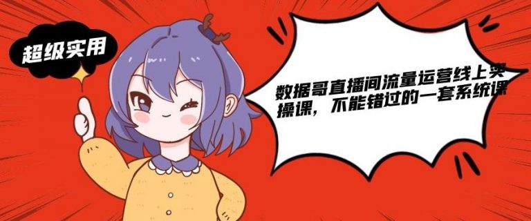 数据哥直播间流量运营线上实操课，不能错过的一套系统课-第一资源网