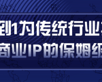从0到1为传统行业打造抖音商业IP简单高效的保姆级攻略-第一资源网