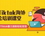 最新Tiktok海外掘金培训课堂:带你玩转Tiktok暴力涨粉轻松变现-第一资源网