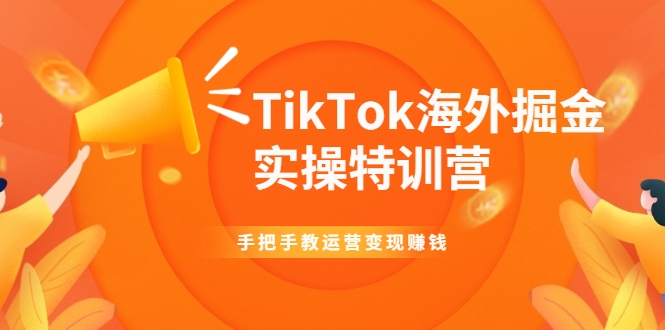 TikTok海外掘金实操特训营：手把手教运营变现赚钱-第一资源网