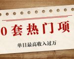 30套热门项目:单日最高收入过万 (网赚项目、朋友圈、涨粉套路、抖音、快手)等-第一资源网