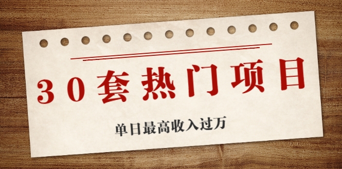 30套热门项目：单日最高收入过万 (网赚项目、朋友圈、涨粉套路、抖音、快手)等-第一资源网