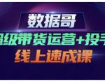 数据哥·超级带货运营+投手线上速成课,快速提升运营和熟悉学会投手技巧-第一资源网