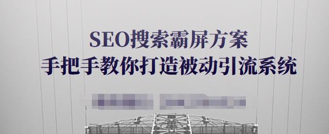 SEO搜索霸屏方案，手把手教你打造被动引流系统【视频课程】-第一资源网