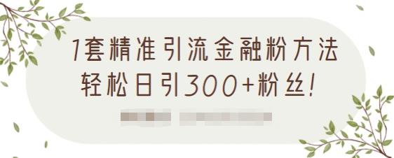 1套精准引流金融粉方法，轻松日引300+粉丝-第一资源网