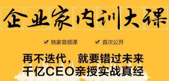 企业家内训大课，未来企业必学经验，价值1299元-第一资源网