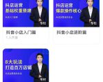 湛北·抖音小店入门进阶高阶合集,八大玩法打造百万店铺-第一资源网