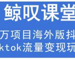 鲸叹号·海外TIKTOK训练营,百万项目海外版抖音tiktok流量变现玩法-第一资源网