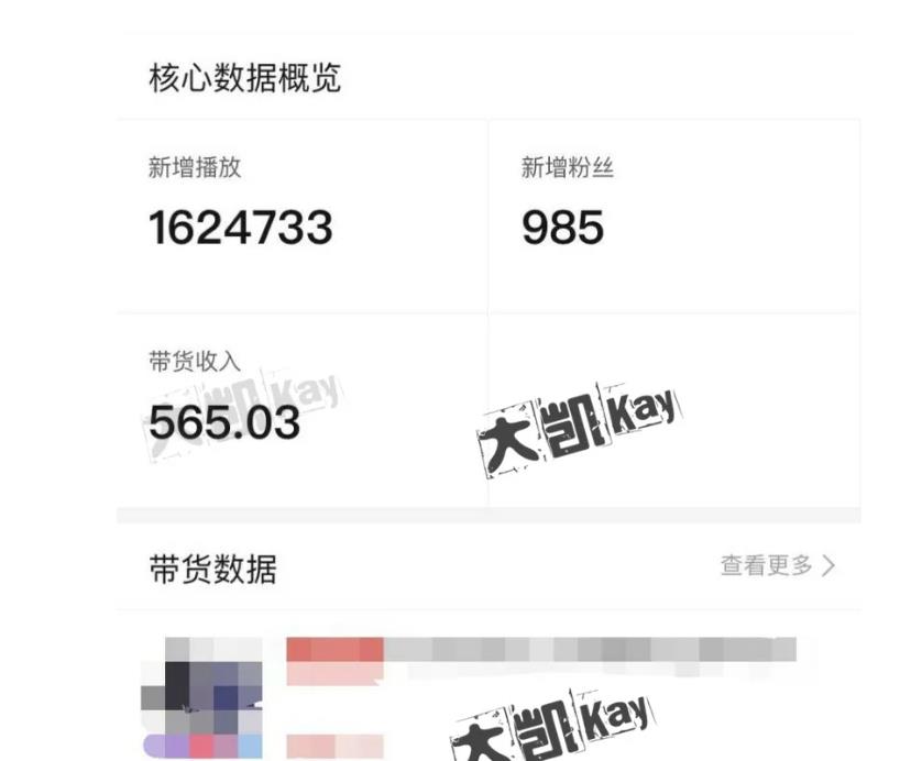 大凯进阶圈新玩法之拼多多视频玩法，利润大概一个号一天能有500~1500的左右!-第一资源网