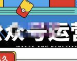 零零已久·从0-1运营公众号,零基础小白也能上手,系统性了解公众号运营-第一资源网