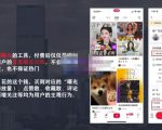 麦子互娱短视频带货·0基础做好物分享账号,无需出镜无需货源无需拍摄-第一资源网